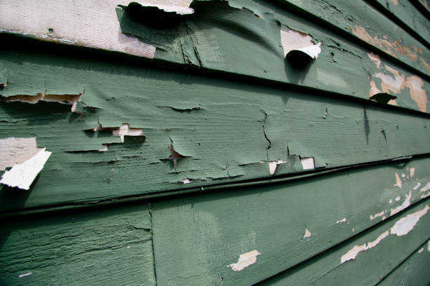 Best Hoarding Cleanup  in Adairsville, GA